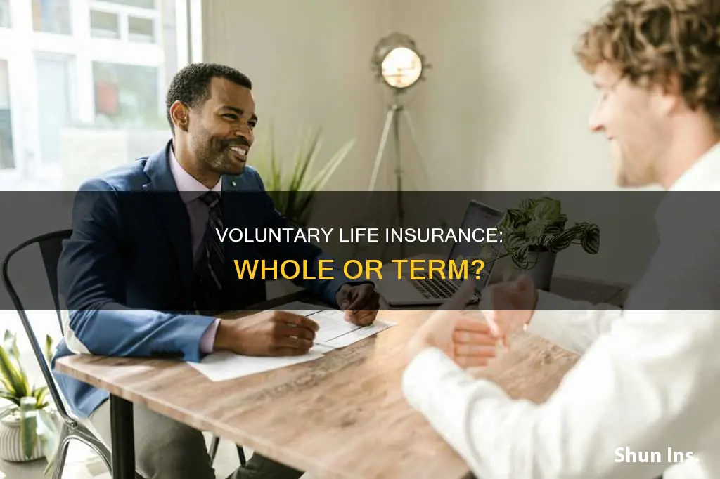 is voluntary life insurance whole or term