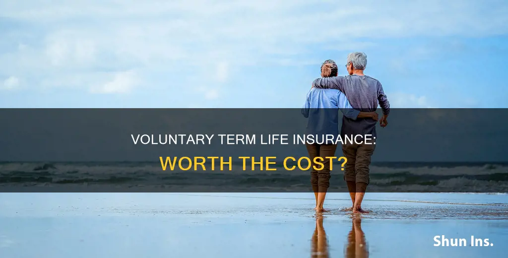 is voluntary term life insurance worth it