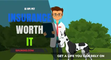 VPI Pet Insurance: Is It Worth the Cost?