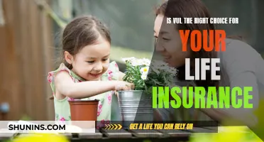 Vul: The Right Choice for Your Life Insurance?