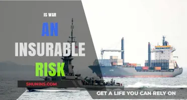 War's Insurability: Managing Risk and Uncertainty