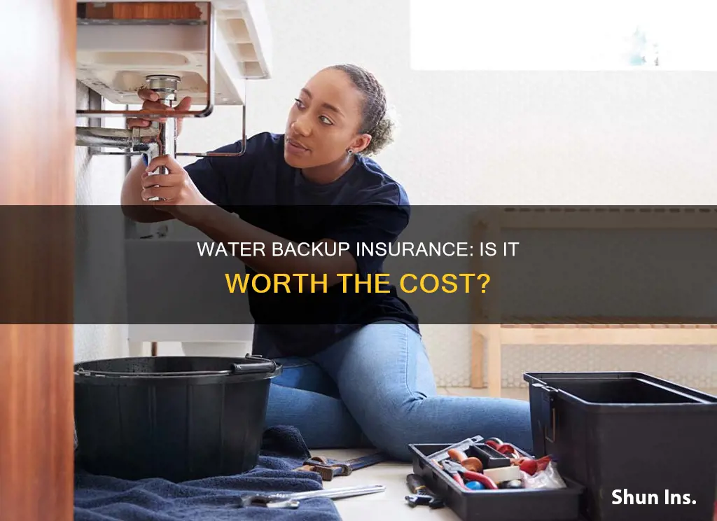 is water backup insurance worth it