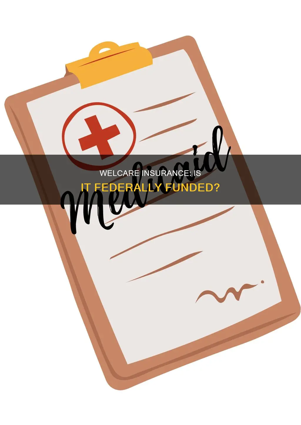 is welcare a federal funded insurance