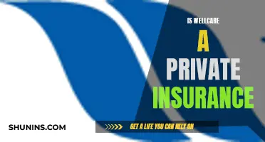 Wellcare Insurance: Private or Public?