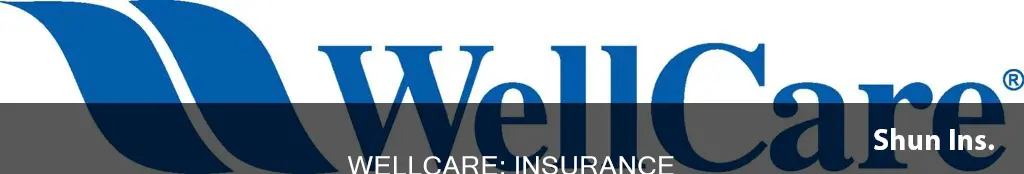 is wellcare insurance for poor people