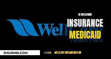 WellCare Insurance: Understanding Its Link with Medicaid