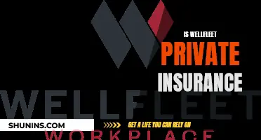 Wellfleet Insurance: Private Coverage and Care Options