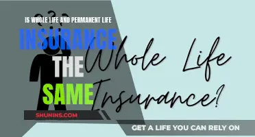 Whole Life vs Permanent Life: What's the Difference?