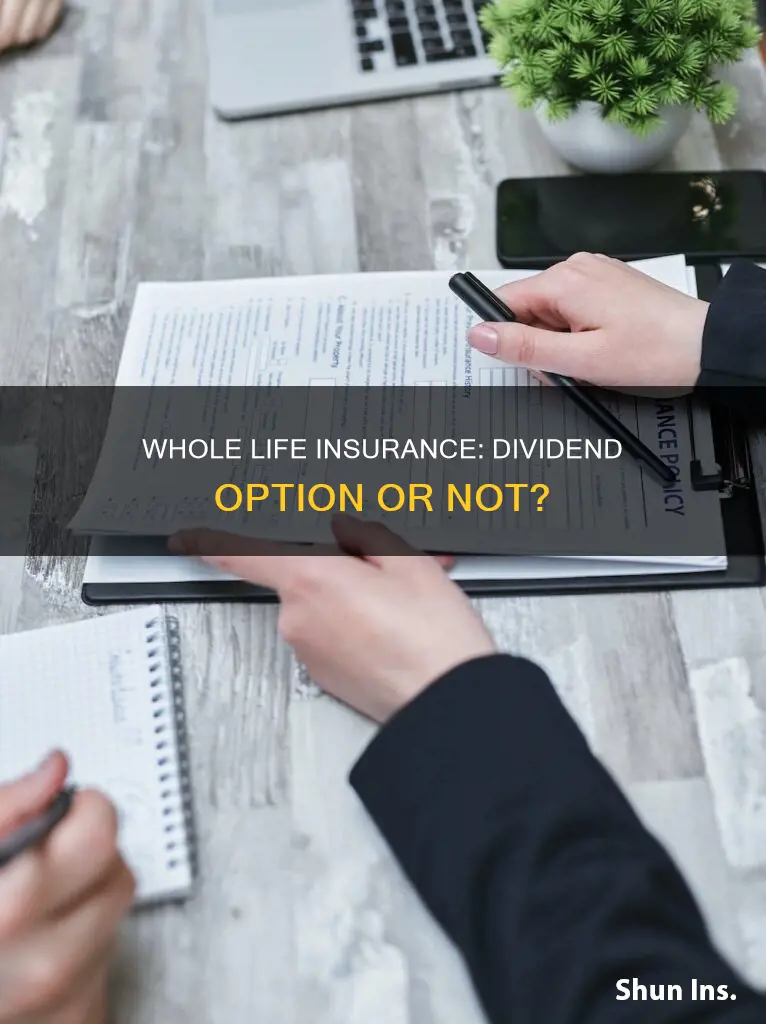 is whole life insurance a dividend option