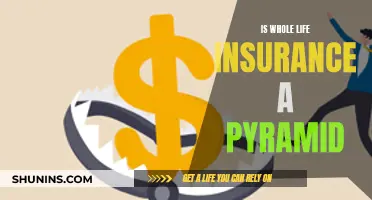 Whole Life Insurance: Pyramid Scheme or Legit?