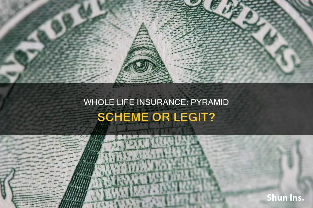 is whole life insurance a pyramid