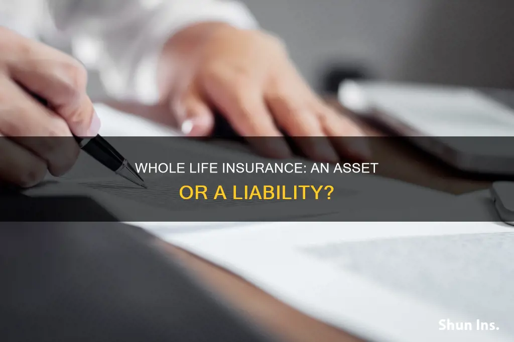 is whole life insurance considered a piece of property