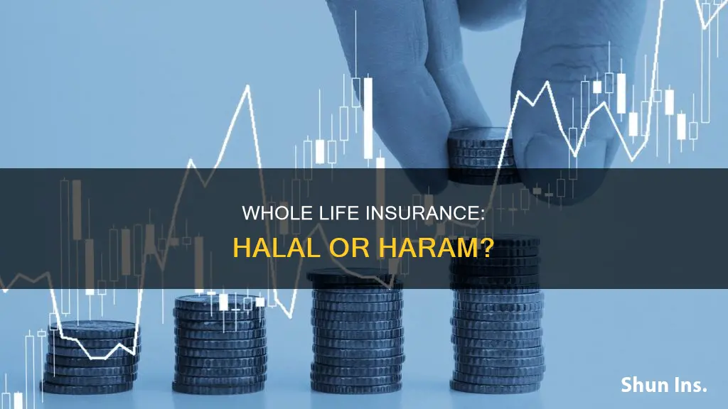 is whole life insurance halal