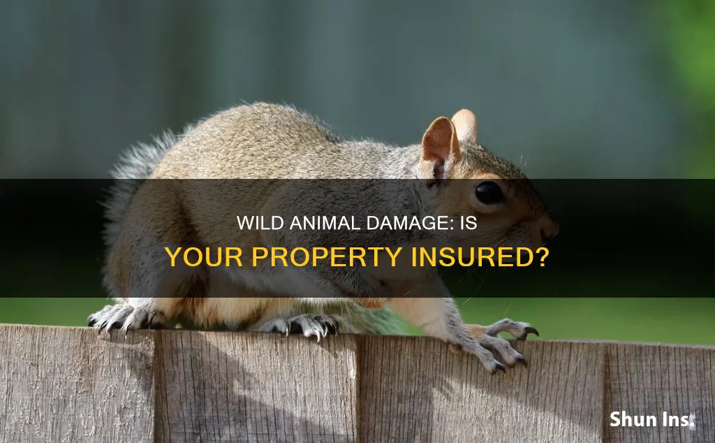 is wild animal damage an insurable risk
