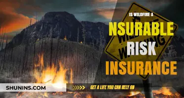 Wildfire Risks: Insurable or Not?