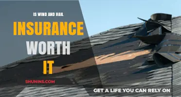 Wind and Hail Insurance: Worth the Cost?