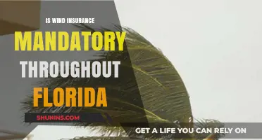 Wind Insurance: Florida's Mandatory Protection Against Nature's Fury
