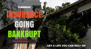 Windhaven Insurance: Is Bankruptcy on the Horizon?