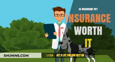 Wishbone Pet Insurance: Is It Worth the Cost?