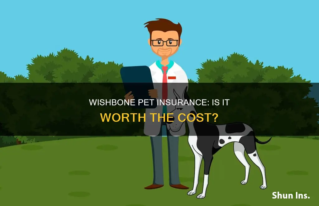 is wishbone pet insurance worth it