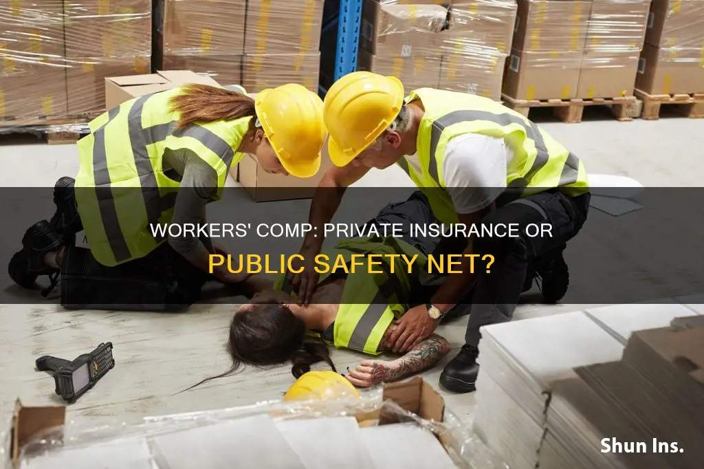 is workers comp private insurance