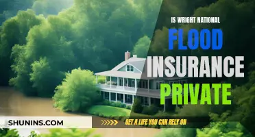 Wright Flood Insurance: Private or Public?