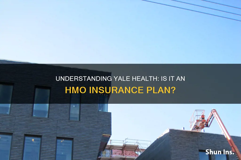 is yale health health maintenance organization type of insurance