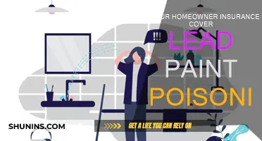 Homeowner Insurance: Lead Paint Poisoning Covered?
