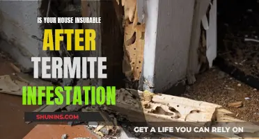 Termite Damage: Can You Insure Your Home?