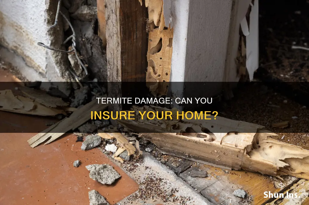 is your house insurable after termite infestation