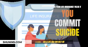 Life Insurance and Suicide: What's the Validity?