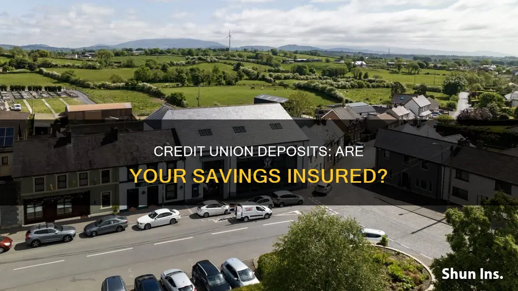 is your money insured in a credit union