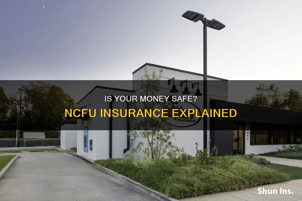 is z savings account at nfcu insured