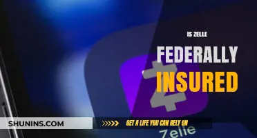 Zelle and Your Money: Is It Safe?