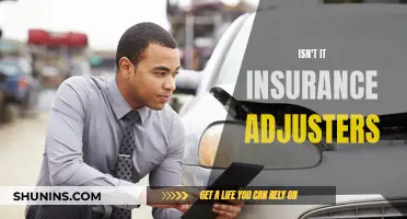 The Intricacies of Insurance Adjusters: Unraveling Their Role and Responsibilities