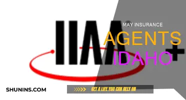 Idaho Insurance Agents: Your May Guide