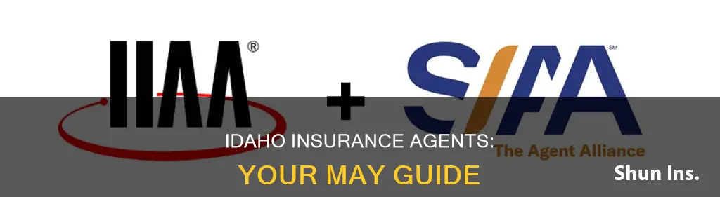 may insurance agents idaho