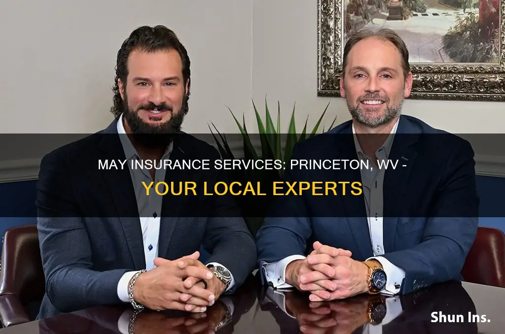 may insurance services princeton wv