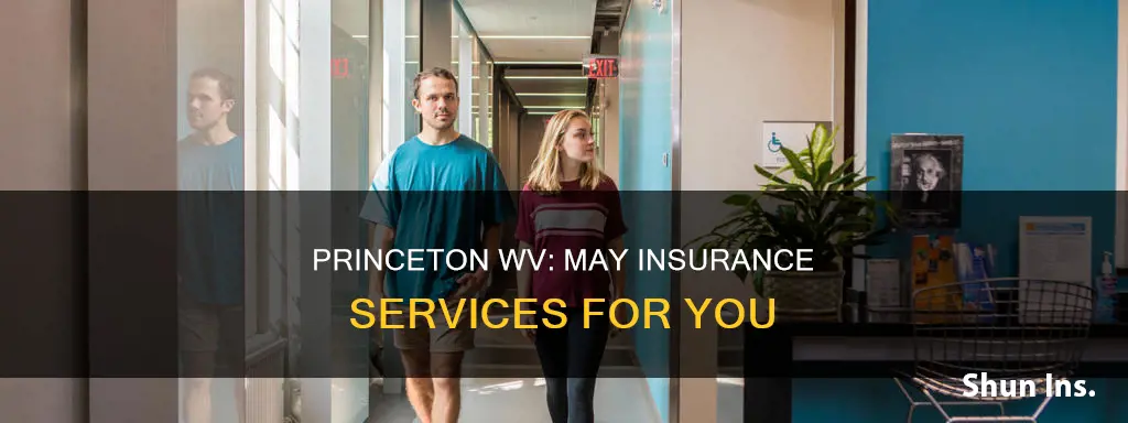 may insurance services princeton wv