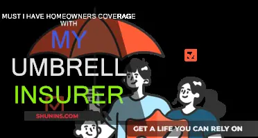 Umbrella Insurance: Do You Need Homeowners Coverage Too?