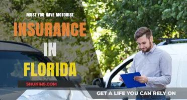 Motorist Insurance in Florida: What You Need to Know