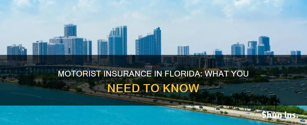 must you have motorist insurance in Florida