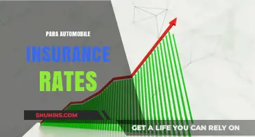 Para-Automobile Insurance Rates: What You Need to Know