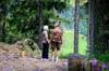 retirement plans