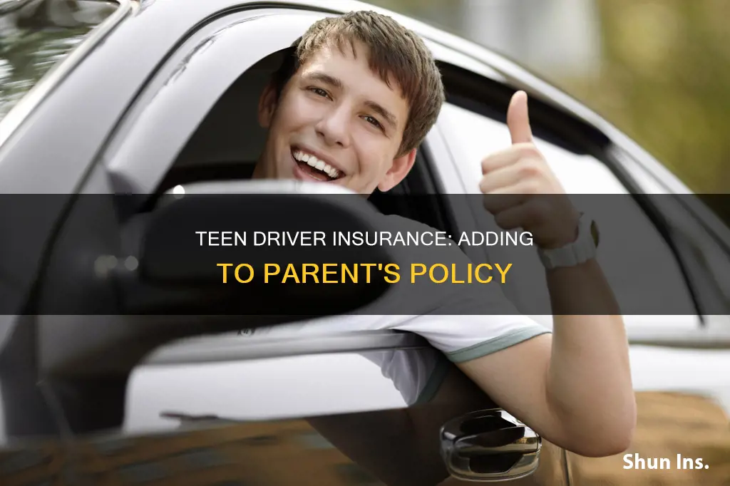 shall teen driver to be added to parents insurance