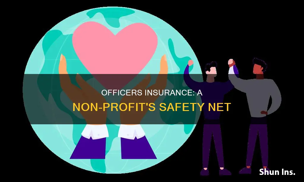 should a non-profit carry officers insurance