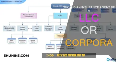 LLC or Corporation: Which is Best for Insurance Agents?