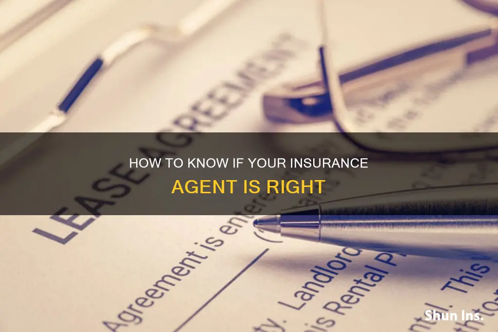 should an insurance agent be agreed