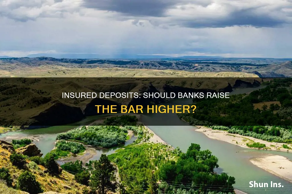 should banks raise the insured level