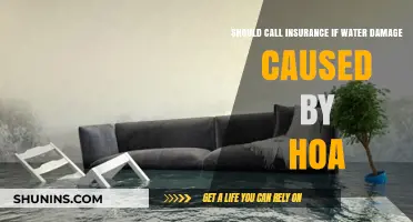 HOA Water Damage: When to Call Insurance